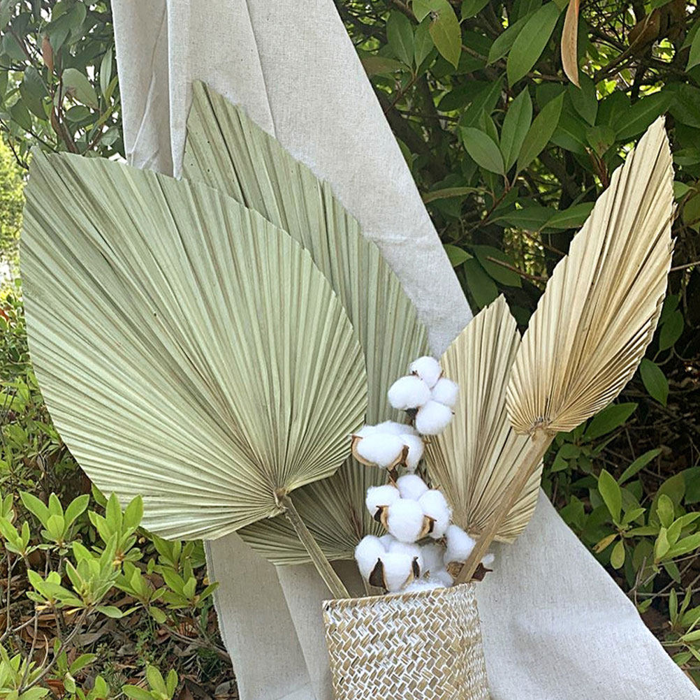 Palm Leaf Dried - 1 Stuk Natuurlijk Gedroogd Palmblad Decoratie
