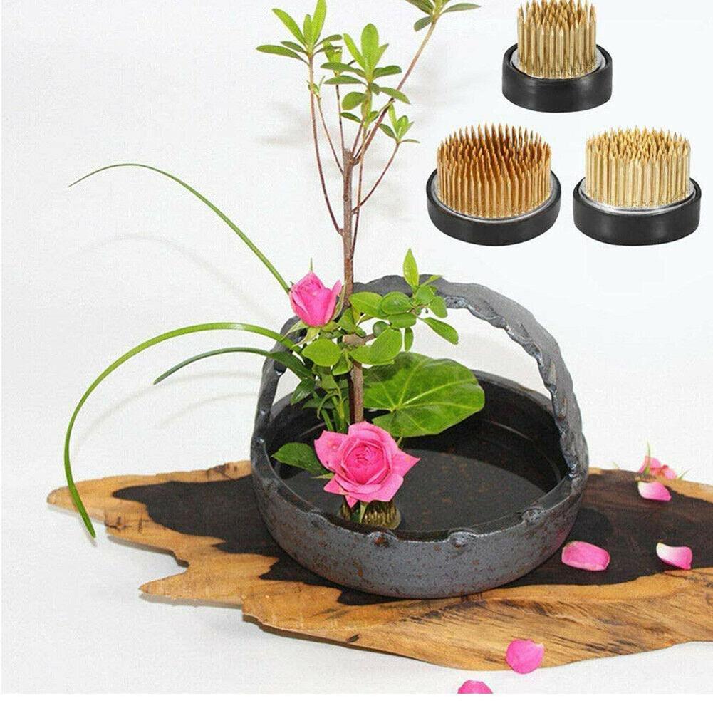 Flower Frog Pin - Ronde Ikebana Bloem Kikker Met Pakking