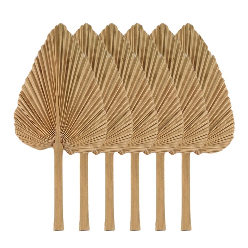 Palm Leaf Dried - AT84-6PCS Gedroogde Palmbladeren Natuurlijke Gedroogde Palmwaaieren,