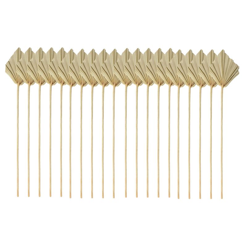 Palm Leaf Dried - ABYN-Boho Gedroogde Palmblad-Speerjes Kleine Natuurlijke Gedroogde