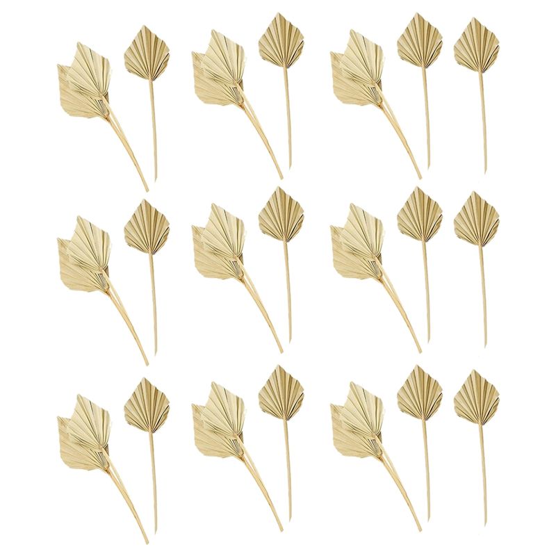Palm Leaf Dried - AS60-30 Stuks Boho Gedroogde Palmbladen Natuurlijke