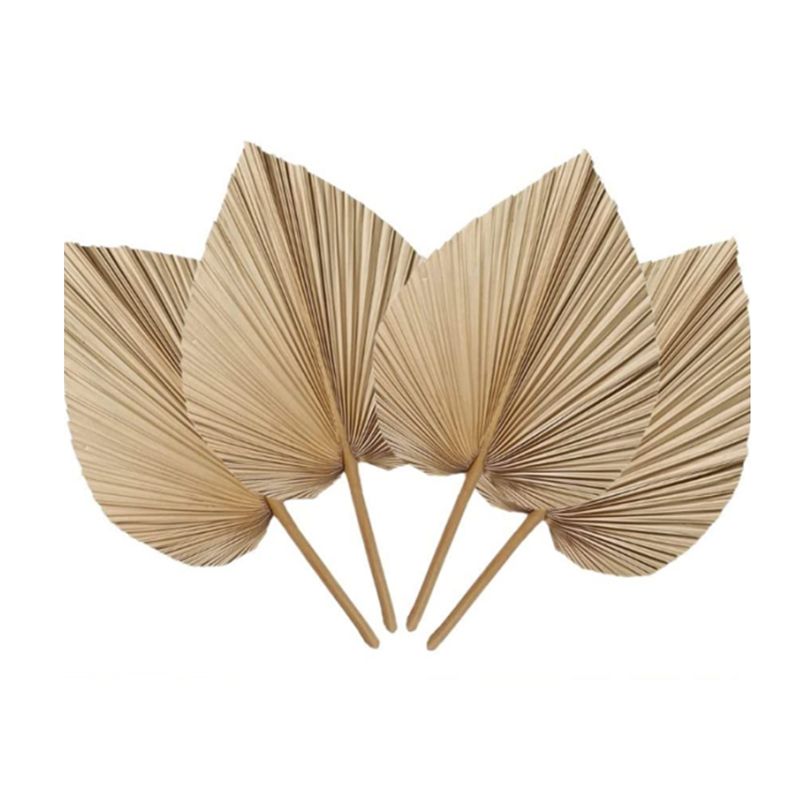 Palm Leaf Dried - A27F-6 stuks natuurlijke tropische gedroogde palmbladeren
