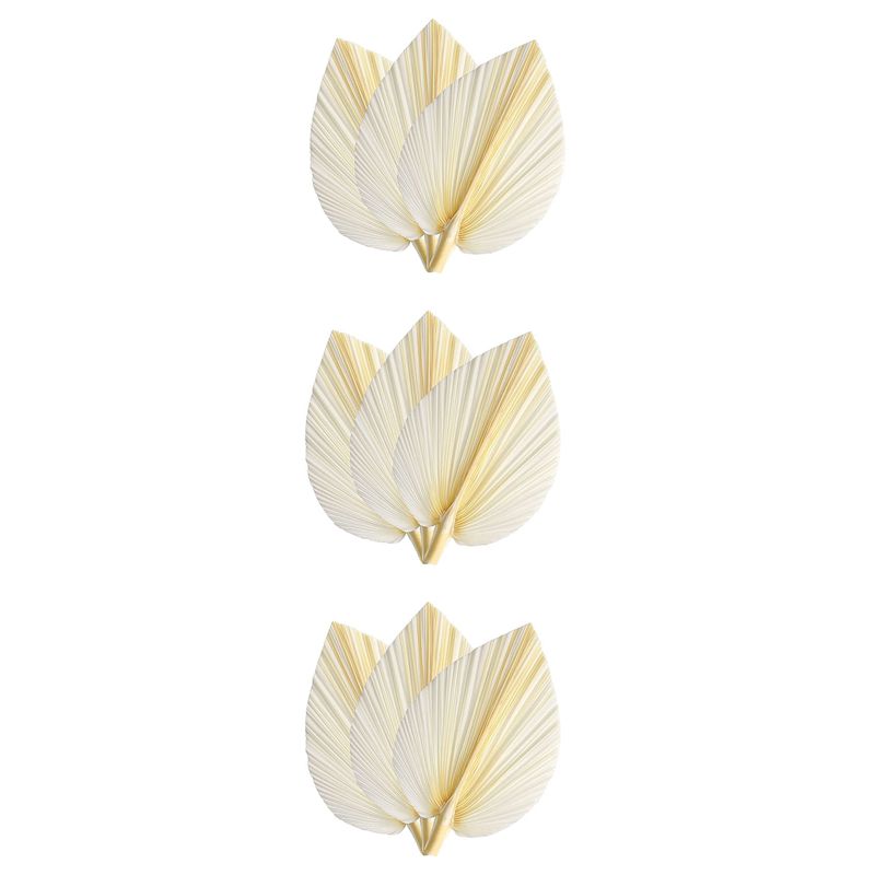 Palm Leaf Dried - Grote witte gedroogde palmbladeren - Premium