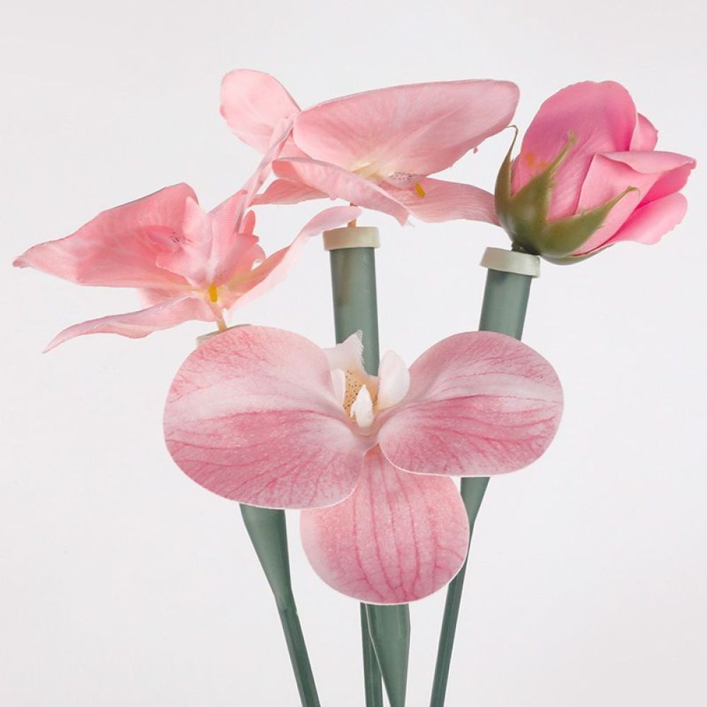Florist Supply Shop - Bloemenconserveringsbuizen Transparante Plastic Flesjes Voor Vers