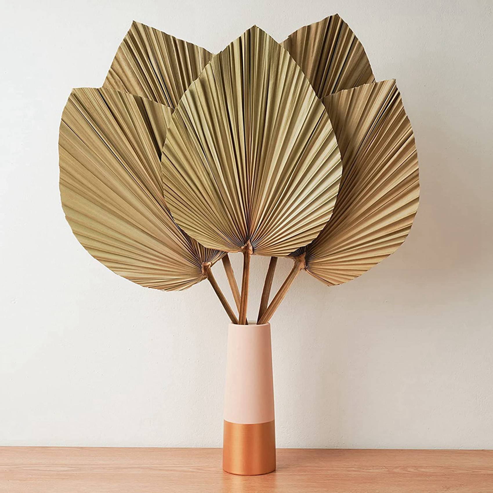 Palm Leaf Dried - Gedroogde Palmbladeren Kamerdecoratie 10 Stuks -