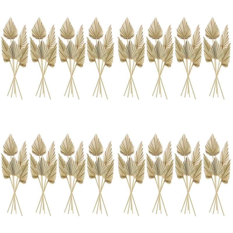 80 stuks Boho gedroogde palmbl - Palm Leaf Dried recensie en prijs
