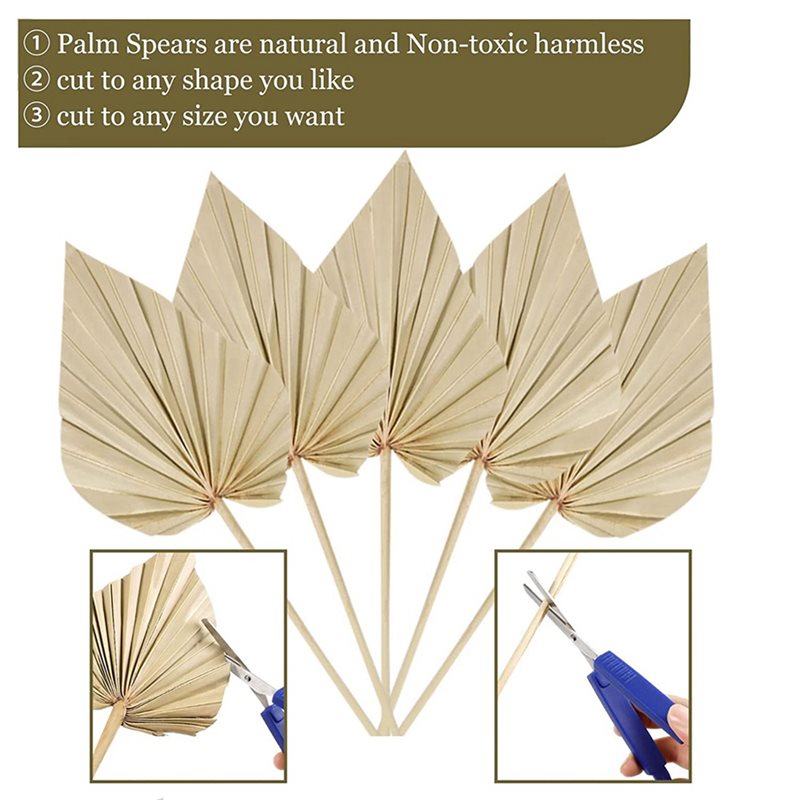 80 stuks Boho gedroogde palmbl - Palm Leaf Dried recensie en prijs