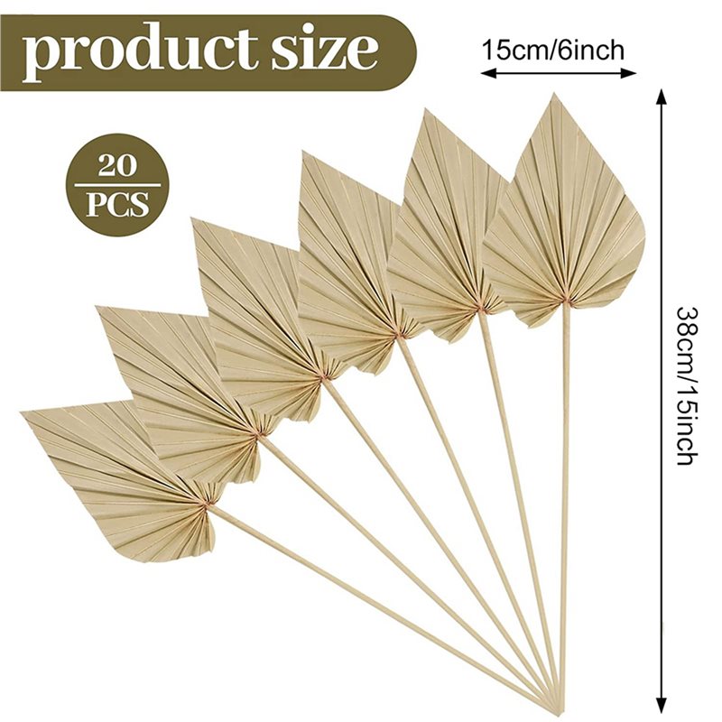 80 stuks Boho gedroogde palmbl - Palm Leaf Dried recensie en prijs