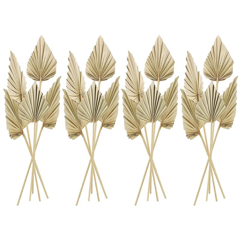80 stuks Boho gedroogde palmbl - Palm Leaf Dried recensie en prijs
