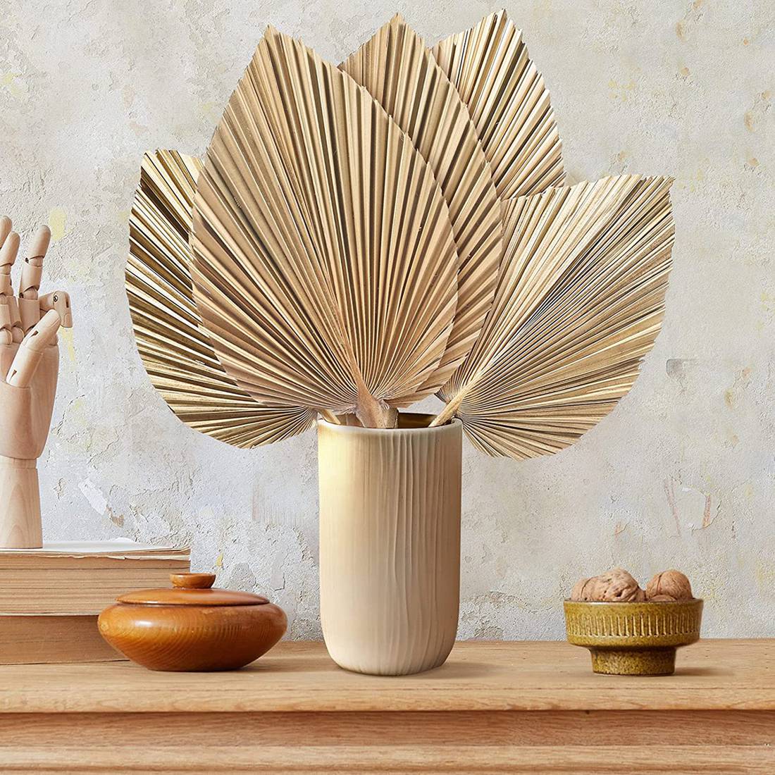 5 stuks natuurlijke gedroogde  - Palm Leaf Dried recensie en prijs