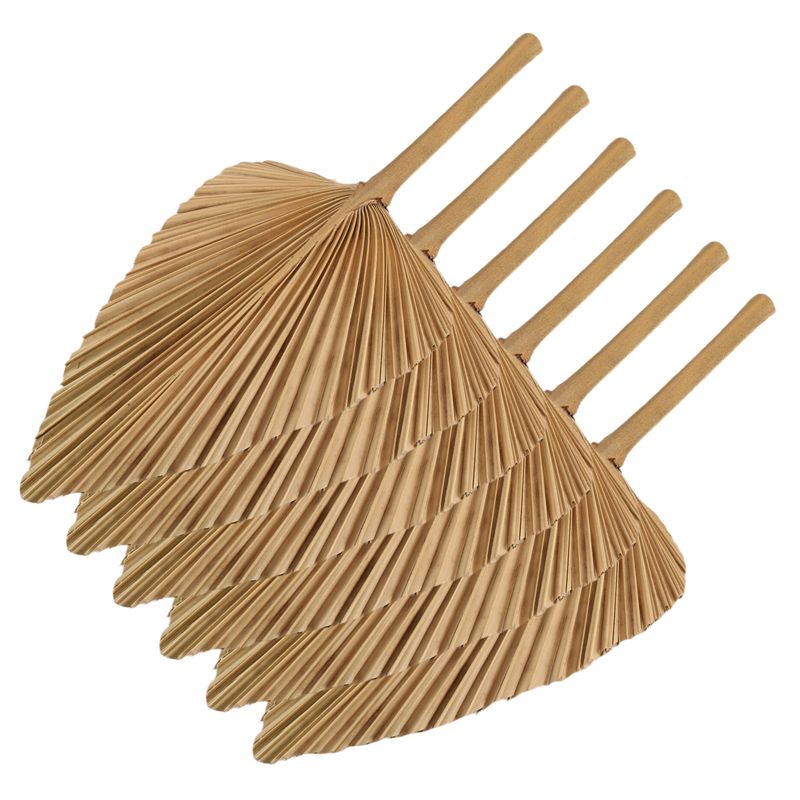 AT84-6PCS Gedroogde Palmblader - Palm Leaf Dried recensie en prijs