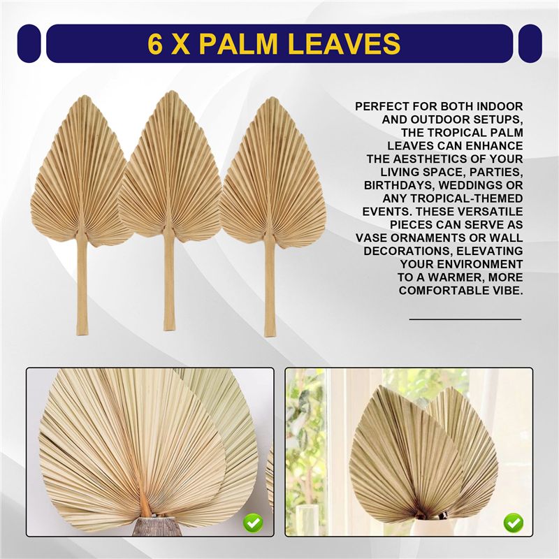 AT84-6PCS Gedroogde Palmblader - Palm Leaf Dried recensie en prijs