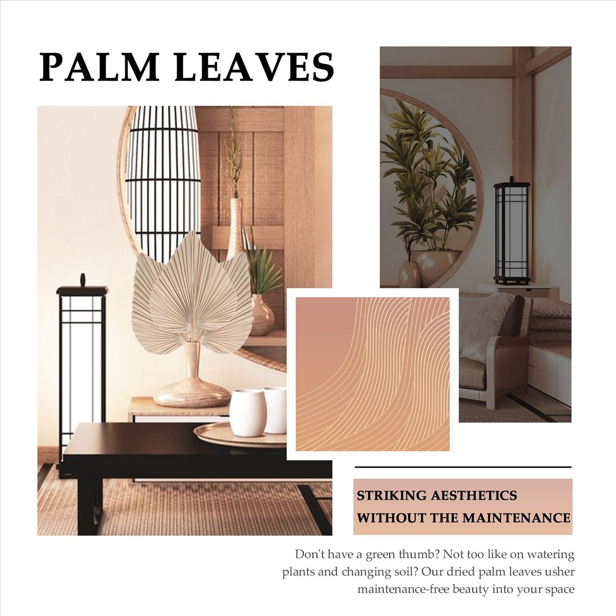 NOCM Gedroogde Palmbladeren Ka - Palm Leaf Dried recensie en prijs