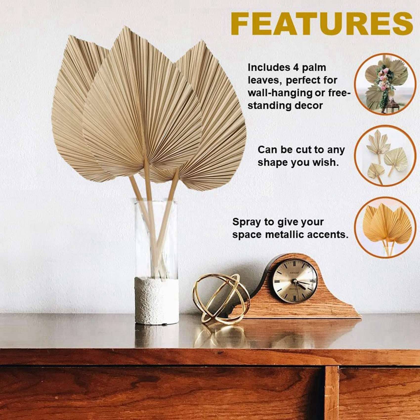 AT02-8 Stuks Natuurlijke Gedro - Palm Leaf Dried recensie en prijs