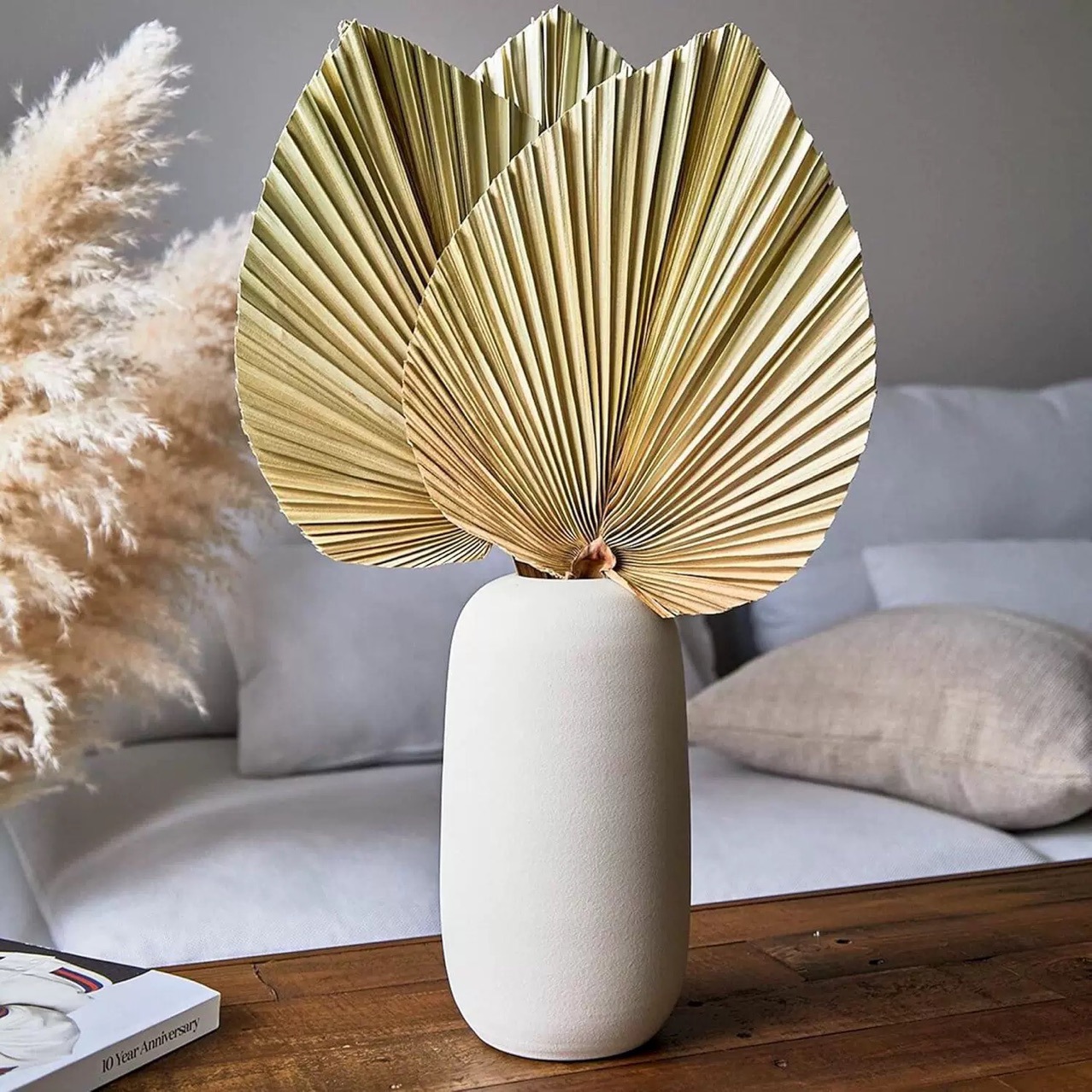 3 stuks natuurlijke gedroogde  - Palm Leaf Dried recensie en prijs
