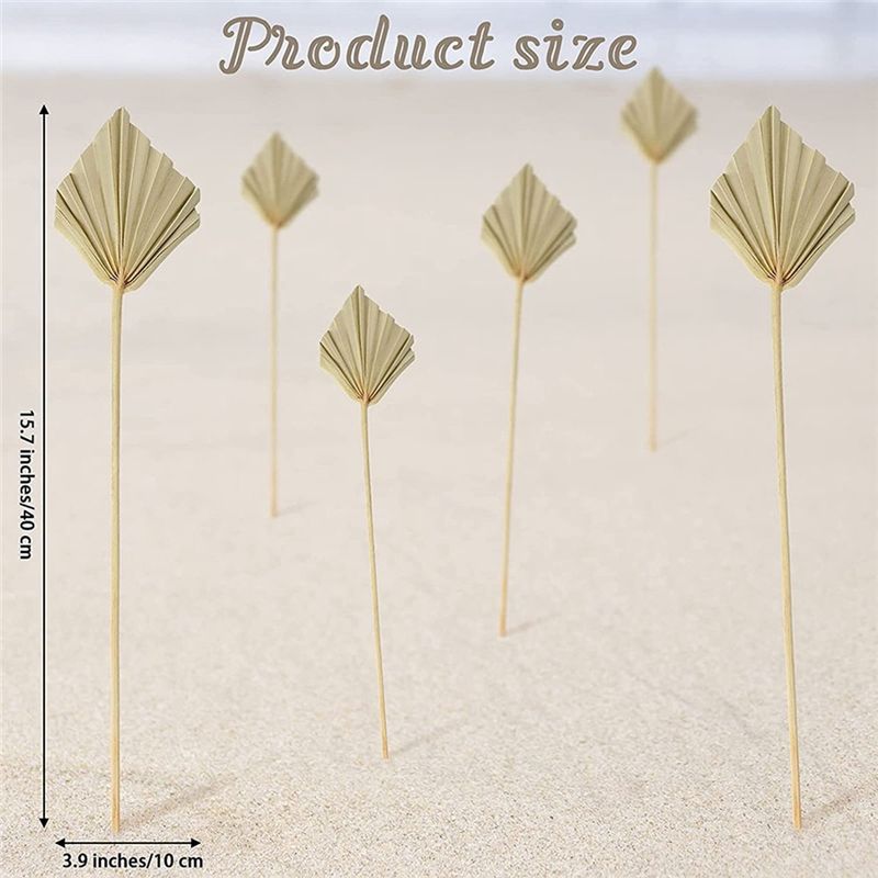 AS60-30 Stuks Boho Gedroogde P - Palm Leaf Dried recensie en prijs