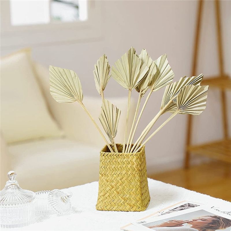 AS60-30 Stuks Boho Gedroogde P - Palm Leaf Dried recensie en prijs