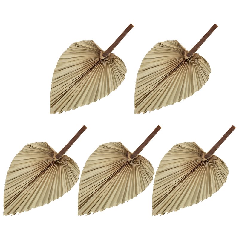 SEWS-5 stuks natuurlijke gedro - Palm Leaf Dried recensie en prijs
