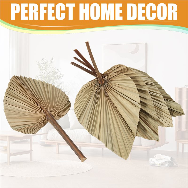 SEWS-5 stuks natuurlijke gedro - Palm Leaf Dried recensie en prijs