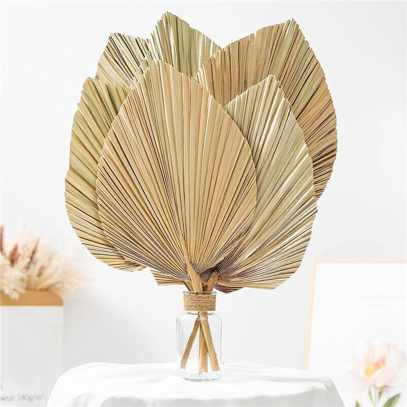 A27F-6 stuks natuurlijke tropi - Palm Leaf Dried recensie en prijs