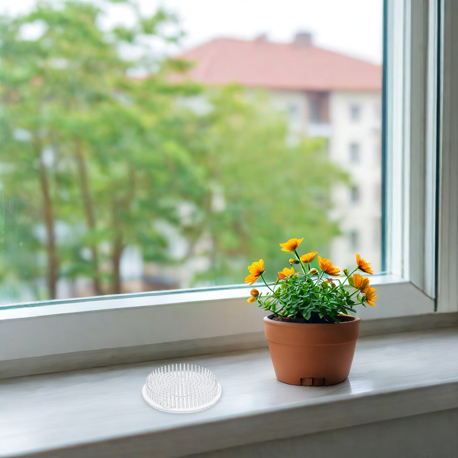6 stuks Japanse bloemstukkenpi - Flower Frog Pin recensie en prijs