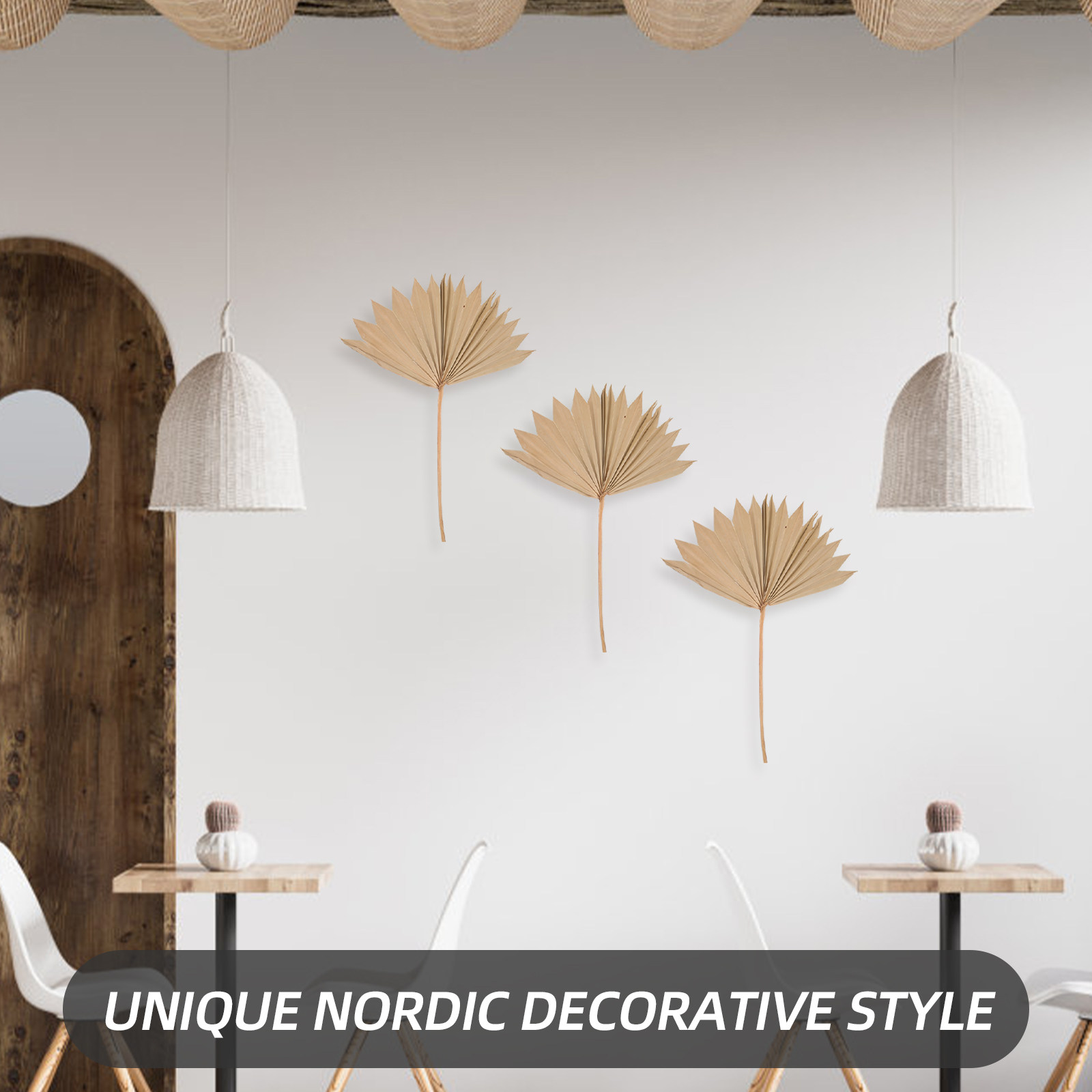 4 stuks gedroogde palmbladeren - Palm Leaf Dried recensie en prijs