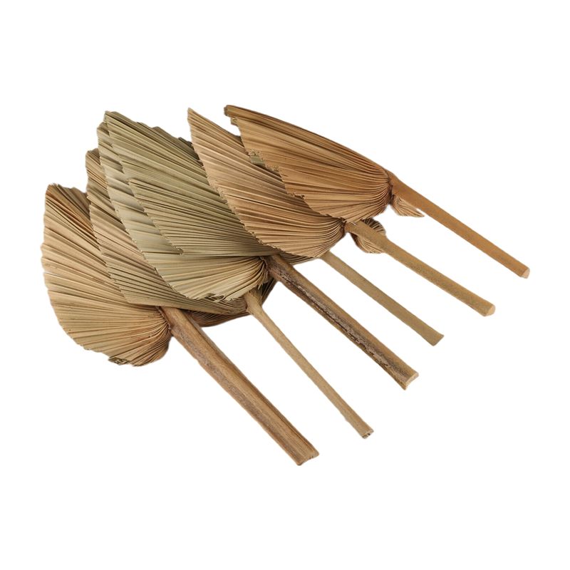 ABKO-6PCS Gedroogde Palmblader - Palm Leaf Dried recensie en prijs