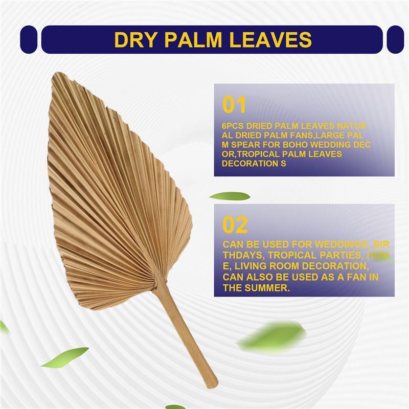 ABKO-6PCS Gedroogde Palmblader - Palm Leaf Dried recensie en prijs