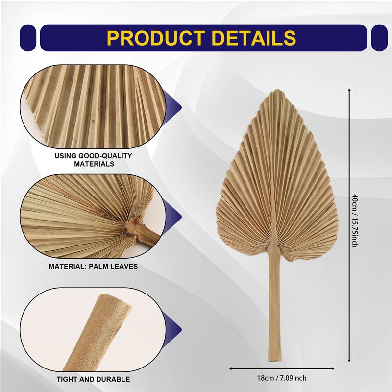 ABKO-6PCS Gedroogde Palmblader - Palm Leaf Dried recensie en prijs