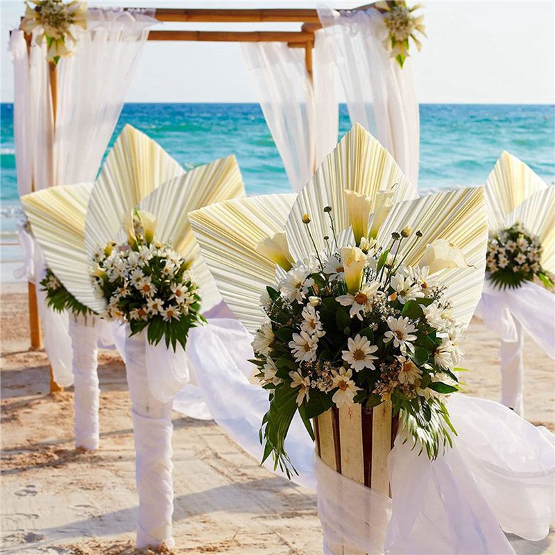 Grote witte gedroogde palmblad - Palm Leaf Dried recensie en prijs