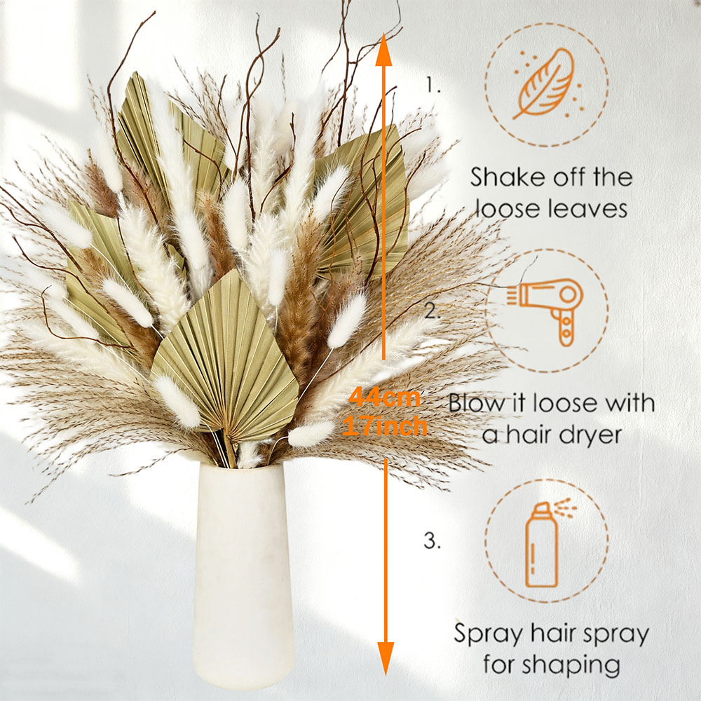 Natuurlijke gedroogde palmblad - Palm Leaf Dried recensie en prijs